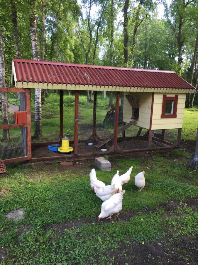 Reinholdi Puhkemaja Villa Jabara Dış mekan fotoğraf